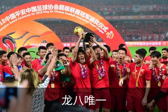 龙八唯一平台介绍展示图